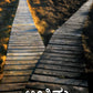 Final Judgement - Kannada