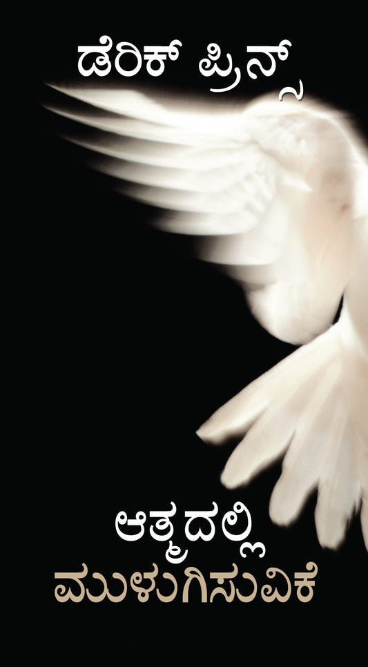 Immersion in the Spirit - Kannada